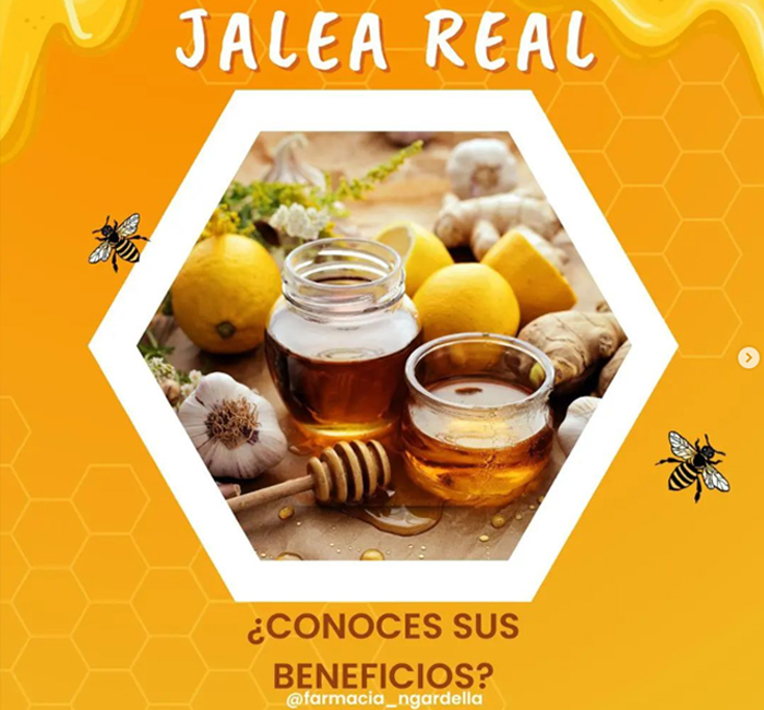 img-consell.jpg